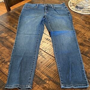 Calvin Klein Jeans Women's Straight Leg in Blue